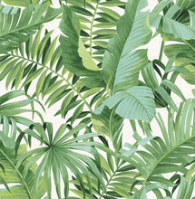 Load image into Gallery viewer, Wallpaper with tropical palm trees